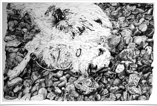 Beach
pencil on paper
36 x 24 cm